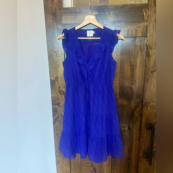 HD in Paris Royal Blue Ruffle Dress Women 0 Sleeveless Fit 
Flare Anthropologie - Picture 4 of 9